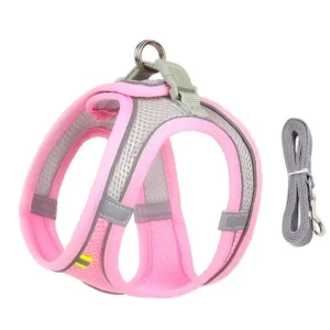 Adjustable Leash Set