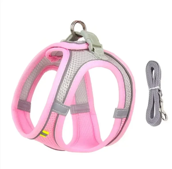 Adjustable Leash Set