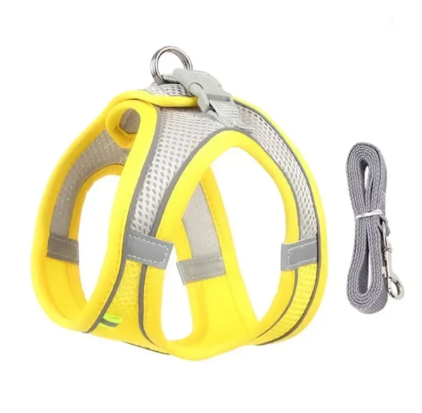 Adjustable Leash Set - Image 3